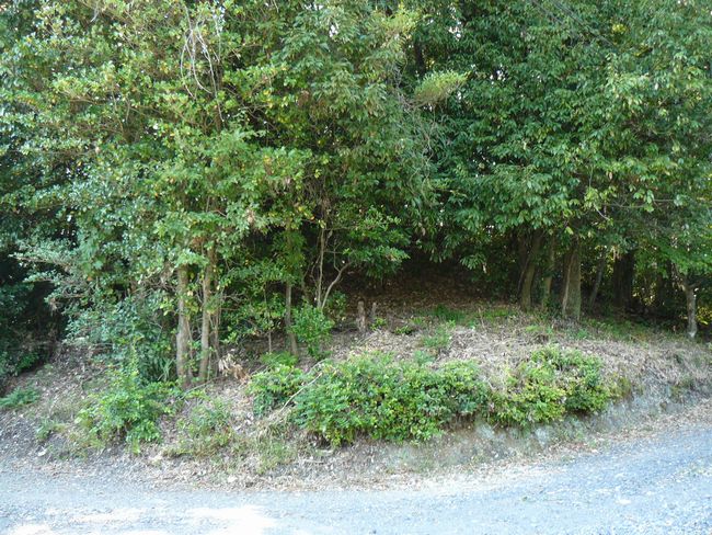 �䐓���E�����R�Õ�