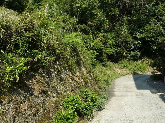 �䐓���E�����R�Õ�