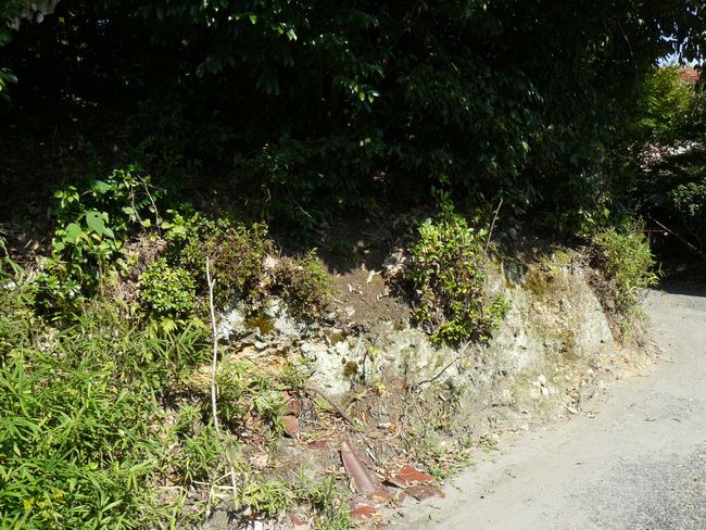 �䐓���E�����R�Õ�