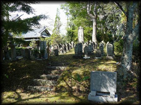 ���Y�˂̑S�̂��B�e�����摜