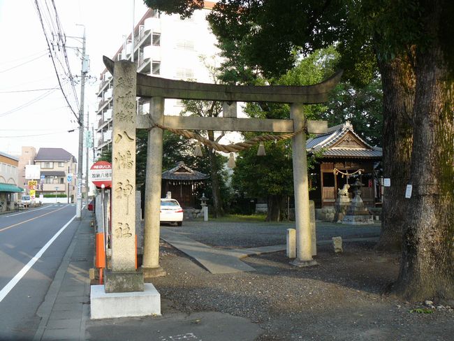 �����_��