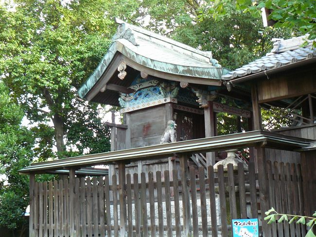 �����_��