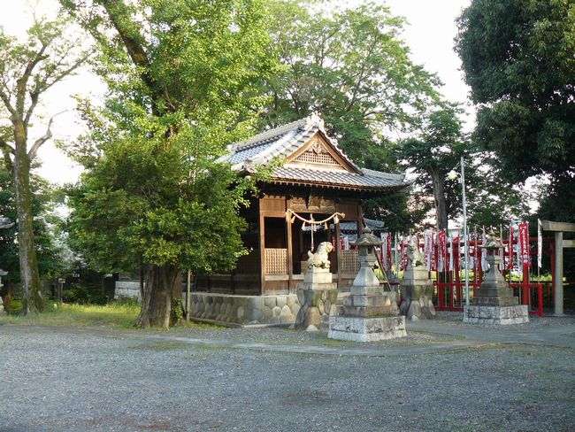 �����_��