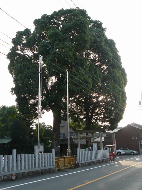 �����_��