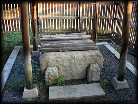 �a�{����B�e�����摜