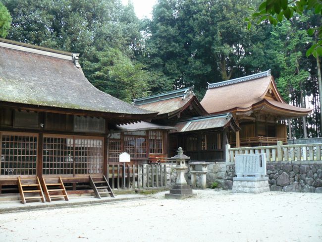 �����_��