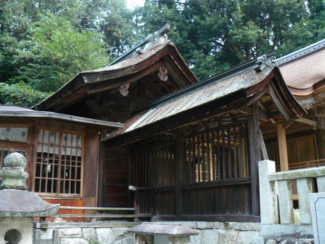 �����_��