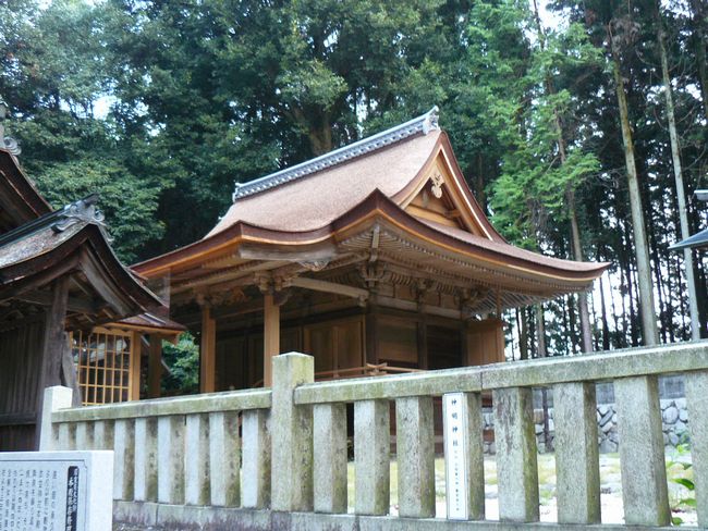 �����_��