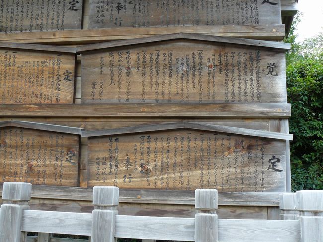 ���Q�s�E���D��