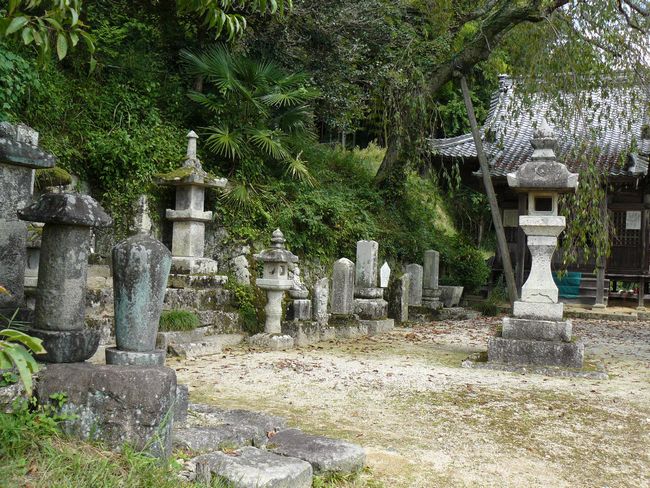 ���Q�s�E��L�ω���