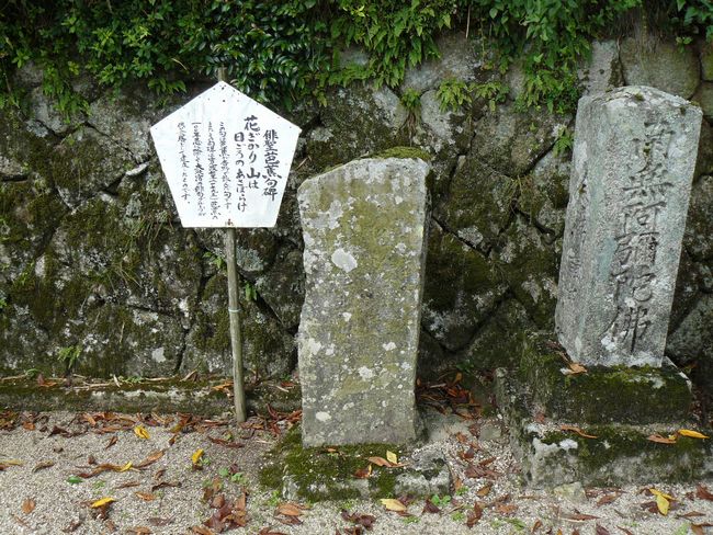 ���Q�s�E��L�ω���