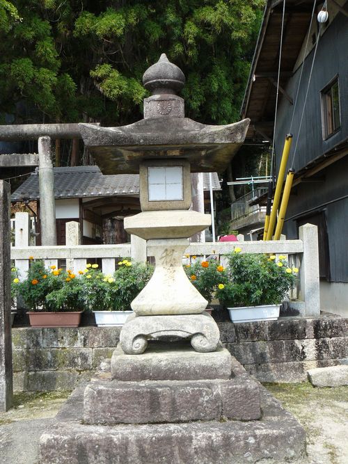 ���Q�s�E������