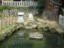 大湫神明神社境内に設けられた神池
