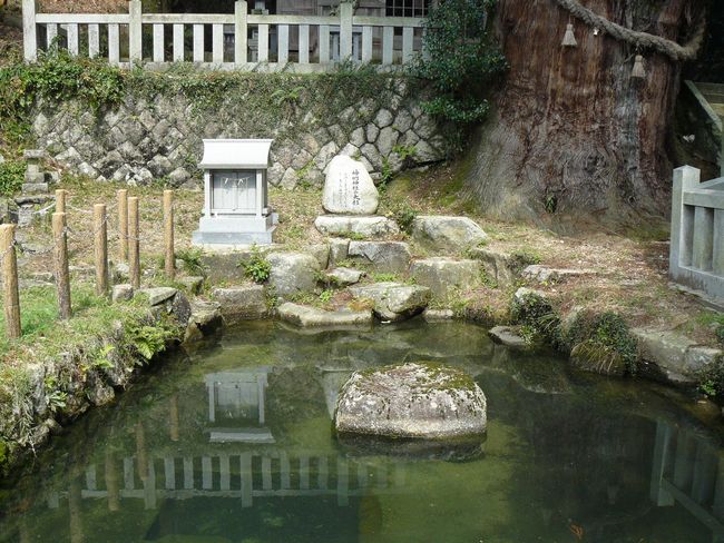 ���Q�s�E��L�_���_��