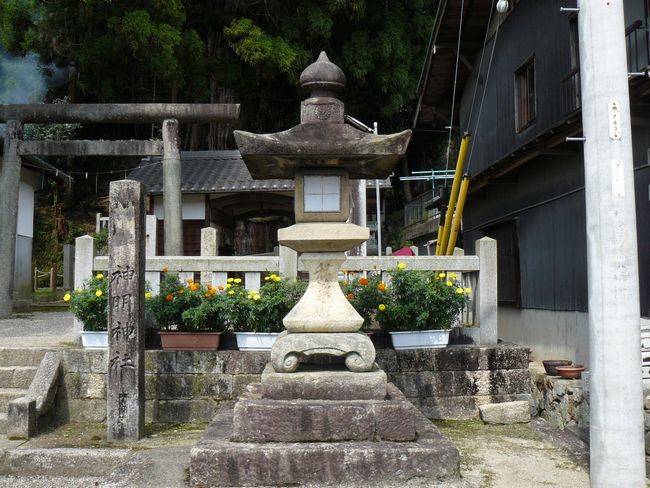 ���Q�s�E��L�_���_��