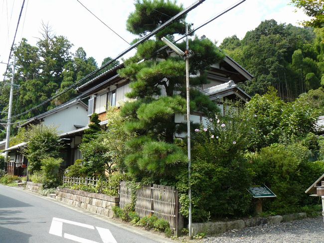 ���Q�s�E�≮���