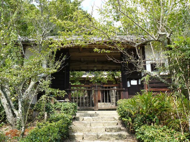 ���Q�s�E�e�{�w