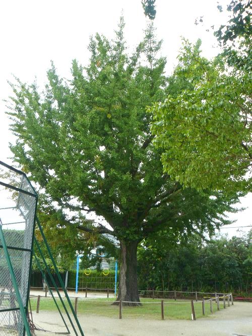 ���c�h���c�㊯��