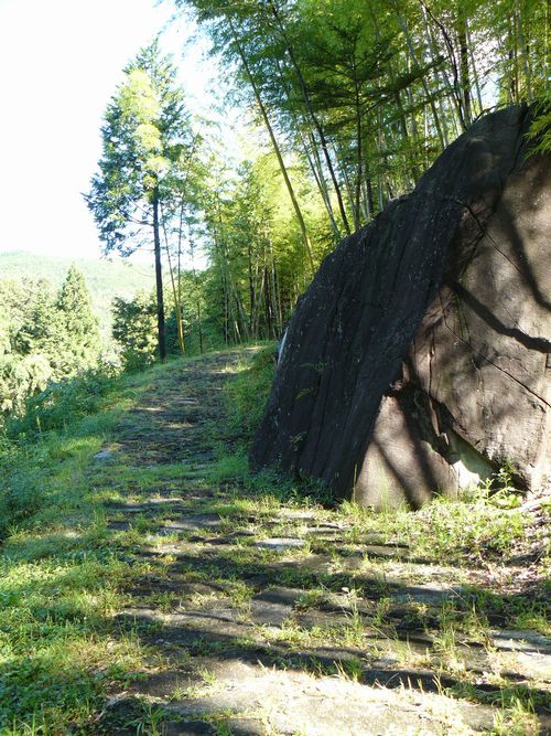 �����Ώ�