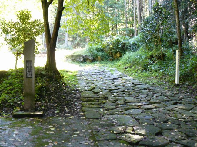 �����Ώ�