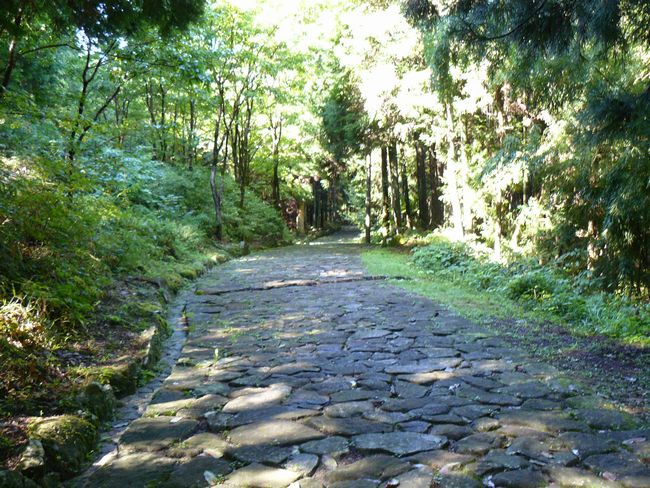 �����Ώ�