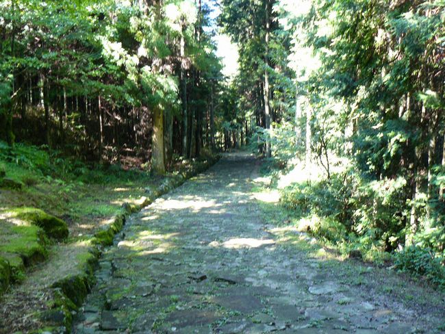 �����Ώ�