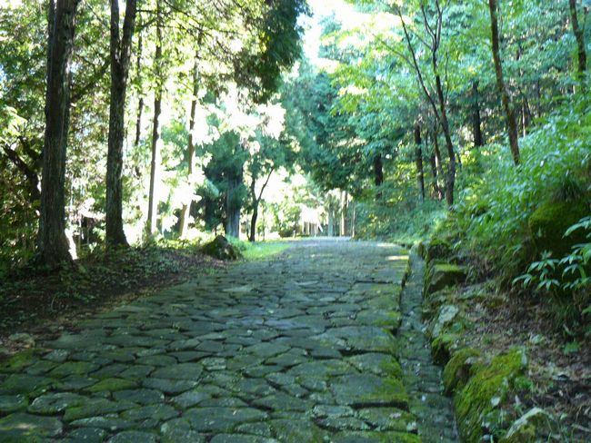 �����Ώ�