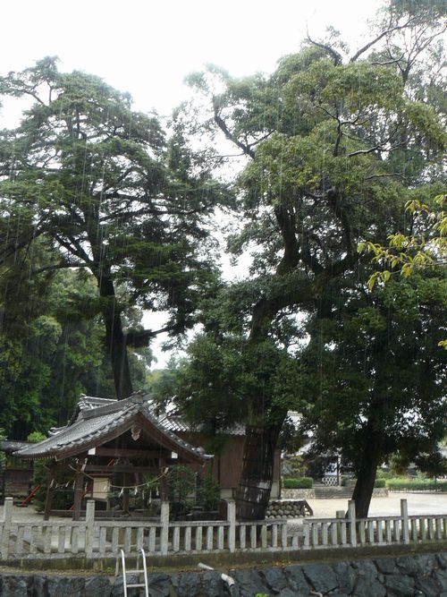 �����_�Ёi�e���̕���j