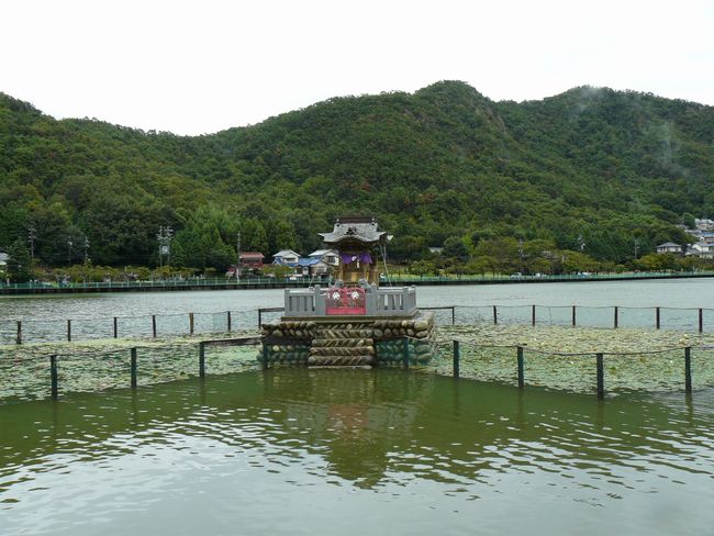 �������r