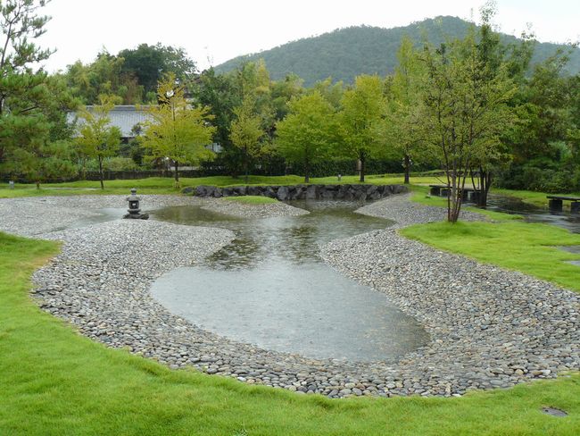 ���R�w���i�X�ؐw���j