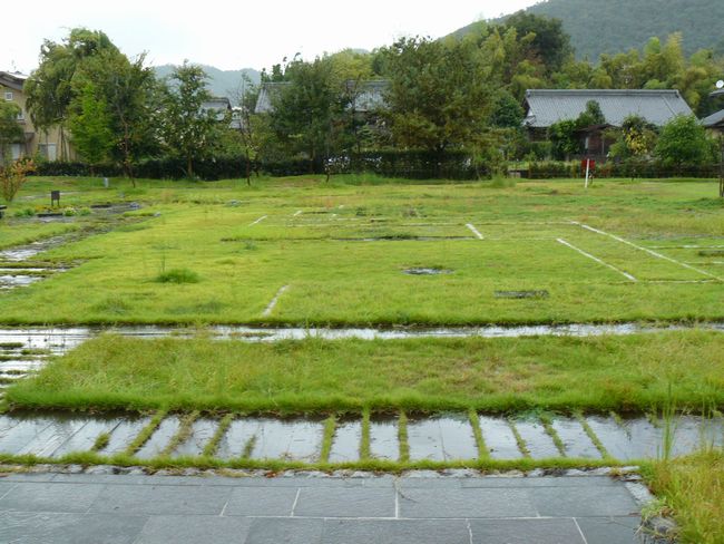 ���R�w���i�X�ؐw���j