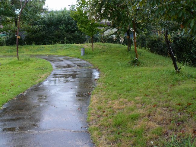 ���R�w���i�X�ؐw���j