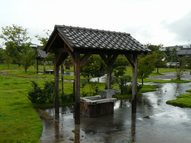 ���R�w���i�X�ؐw���j