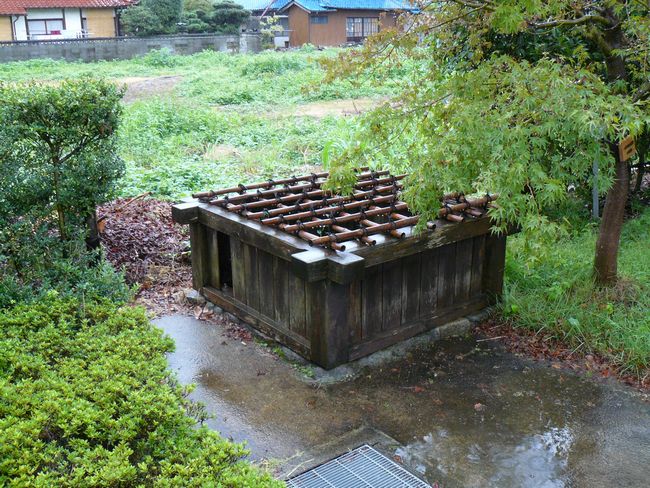 ���R�w���i�X�ؐw���j