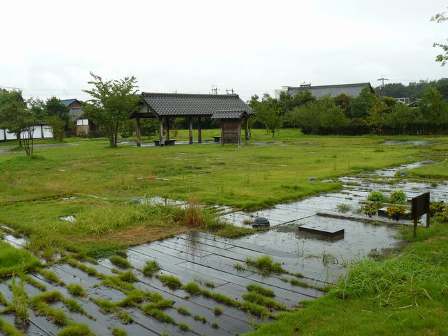 ���R�w���i�X�ؐw���j