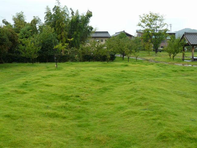 ���R�w���i�X�ؐw���j