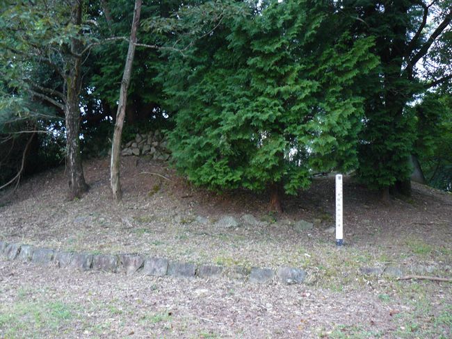 �g�B�R�Õ�