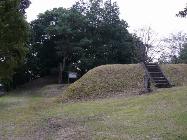 �g�B�R�Õ�