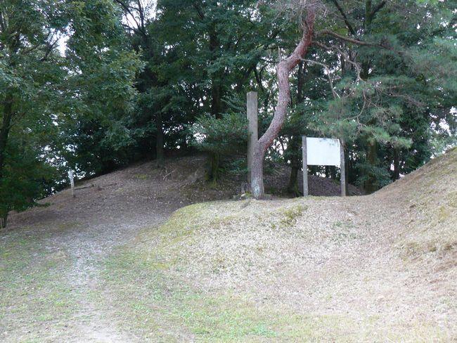 �g�B�R�Õ�