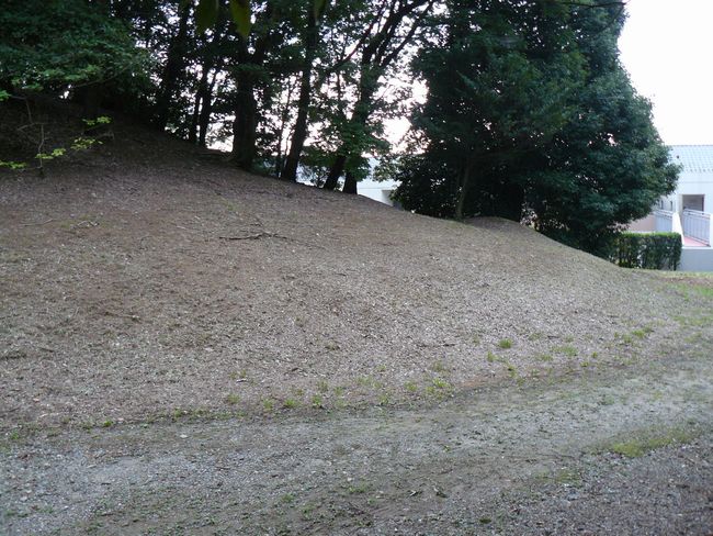 �g�B�R�Õ�