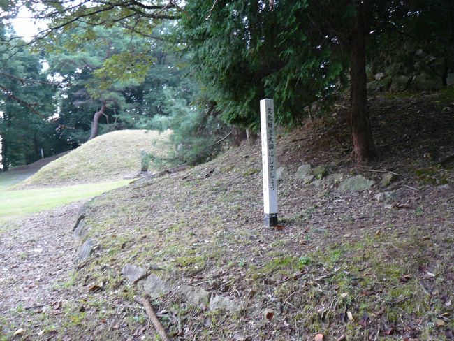 �g�B�R�Õ�