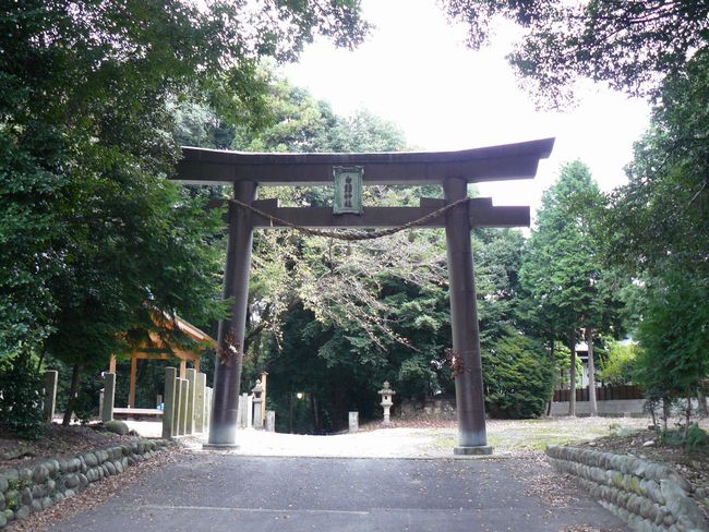 ç½é«­ç¥ç¤¾
