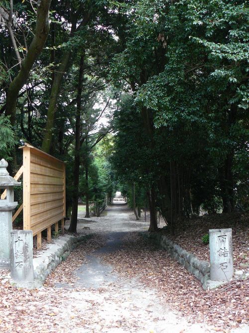 ���E�_��