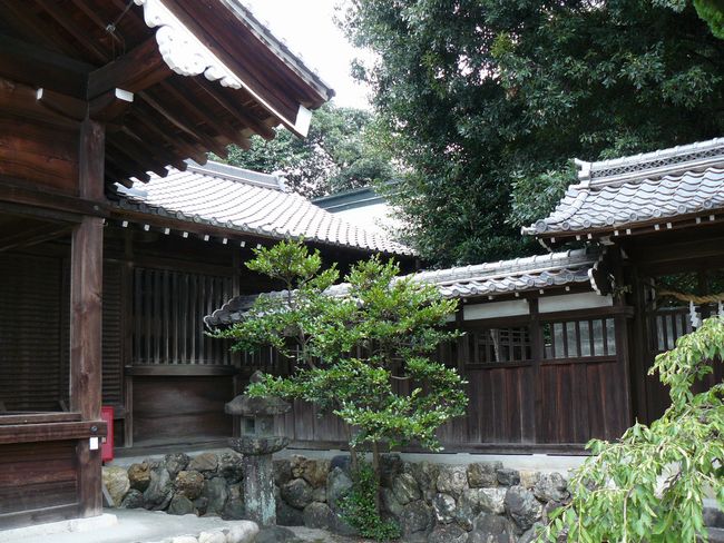 ���E�_��