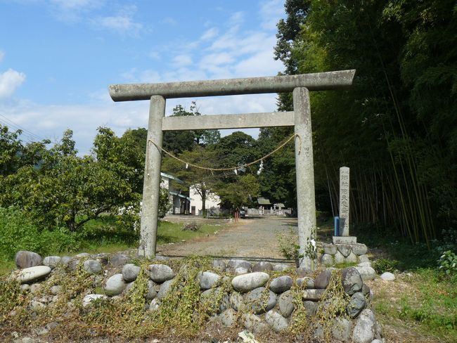 ���v�u�ސ_��