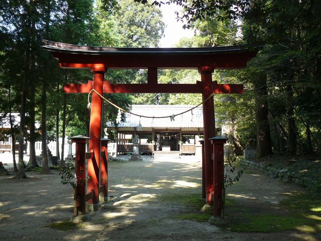 ���v�u�ސ_��