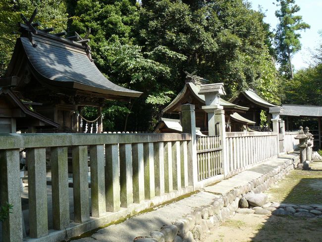 ���v�u�ސ_��