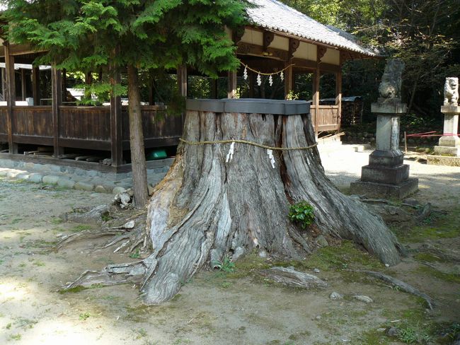 ���v�u�ސ_��