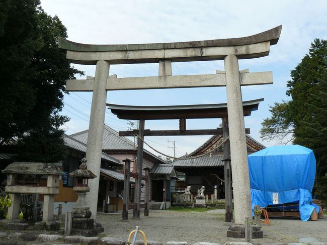 ���Y�ÓV�_��