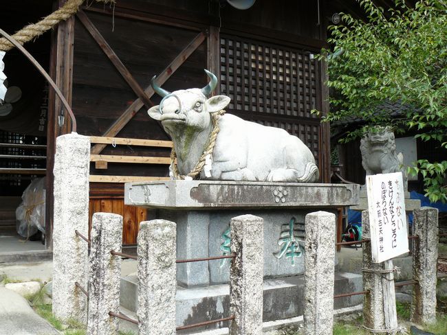 ���Y�ÓV�_��